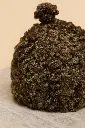 ChatGPT Image Sep 2, 2025, 11_27_16 AM.webp