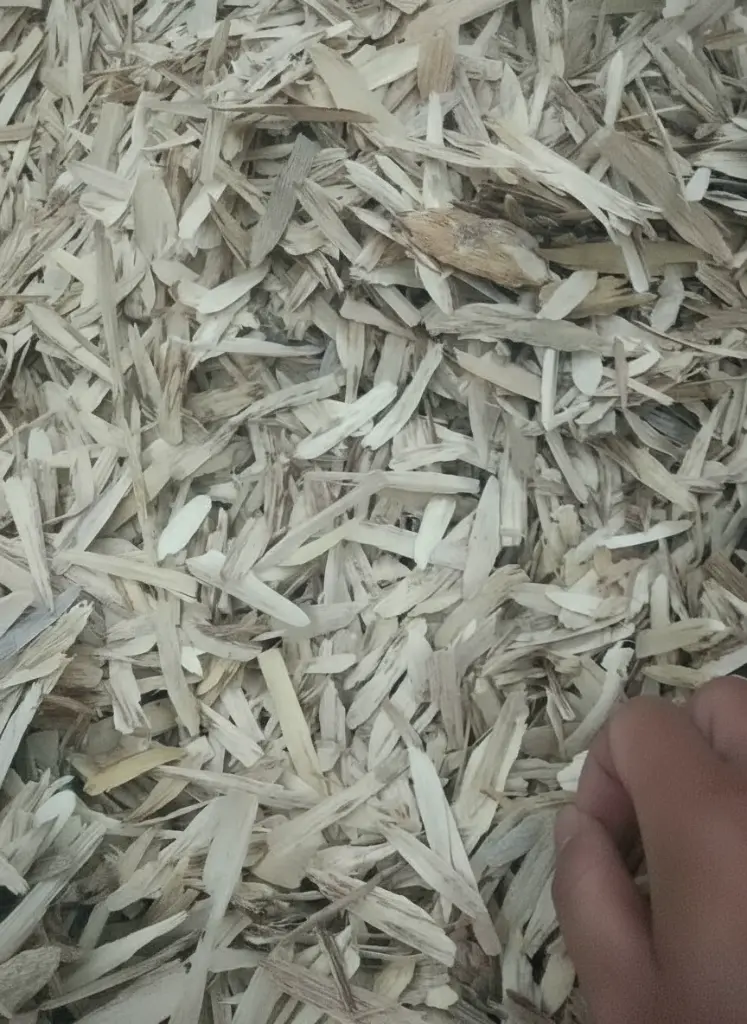 Premium Hainan agarwood fragments luxury Chinese oud incense meditation spiritual wellness