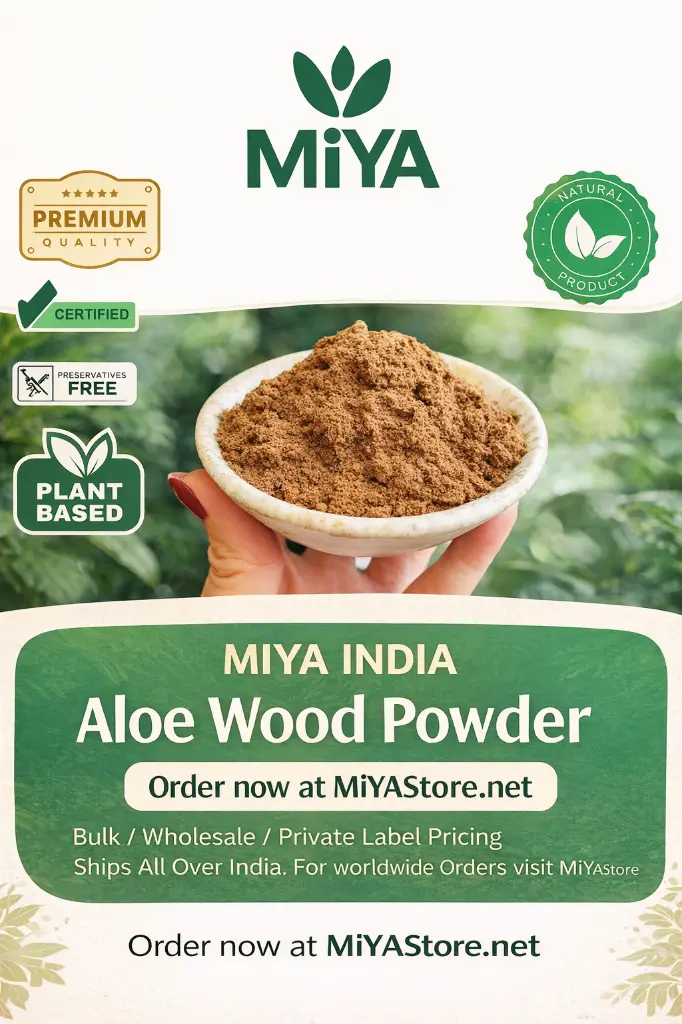 ChatGPT Image Dec 15, 2025, 01_16_56 AM.webp