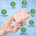 ChatGPT Image Dec 18, 2025, 05_06_08 PM.webp