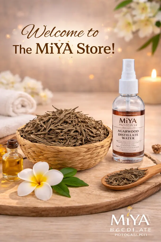 ChatGPT Image Dec 28, 2025, 05_59_07 PM.webp