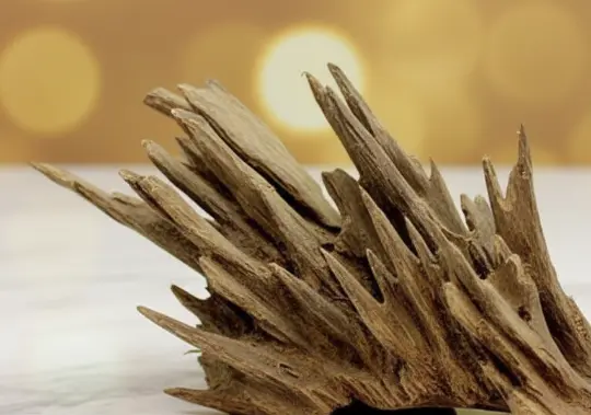 miya-hindi-gaff-char-oud-triple-super