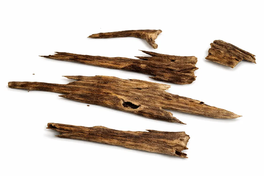Authentic Tripura agarwood