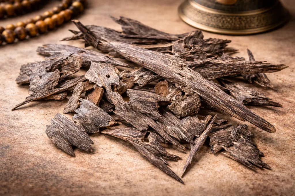 ChatGPT Image Jan 20, 2026, 08_07_58 PM.webp