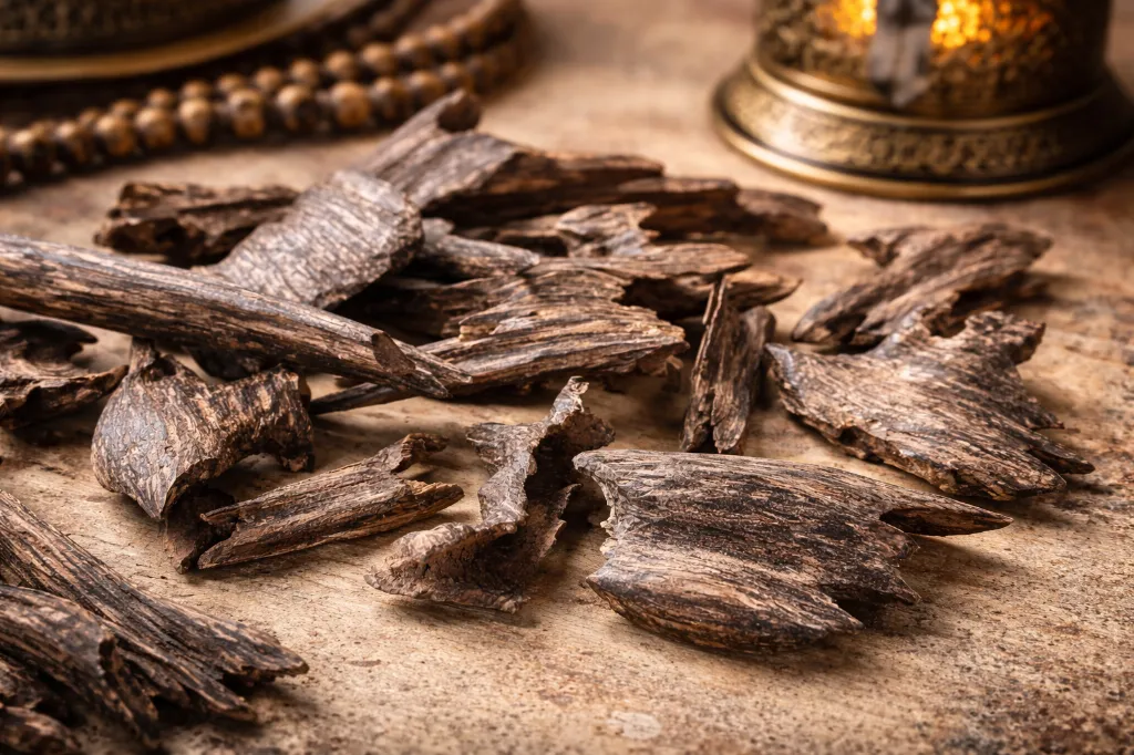 ChatGPT Image Jan 20, 2026, 08_07_49 PM.webp