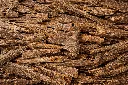 ChatGPT Image Feb 21, 2026, 09_01_58 PM.webp