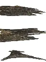 buy agarwood peices