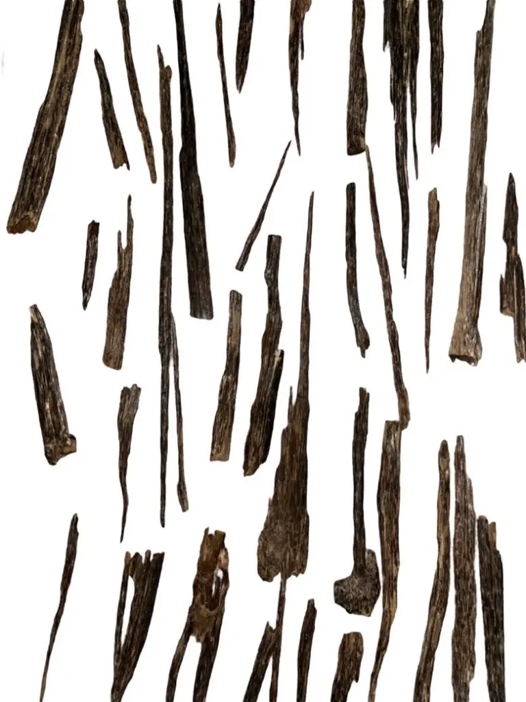 Agarwood