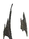 visa muri agarwood