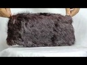 youtube - [Video]