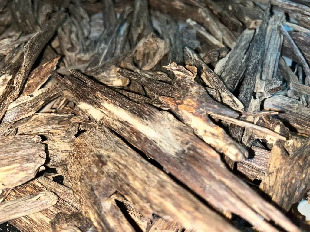 buy sallah agarwood zura