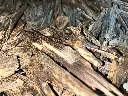 buy sallah agarwood zura