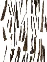 zura salla agarwood oud