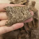 ChatGPT Image Jul 8, 2025, 02_45_26 AM.webp