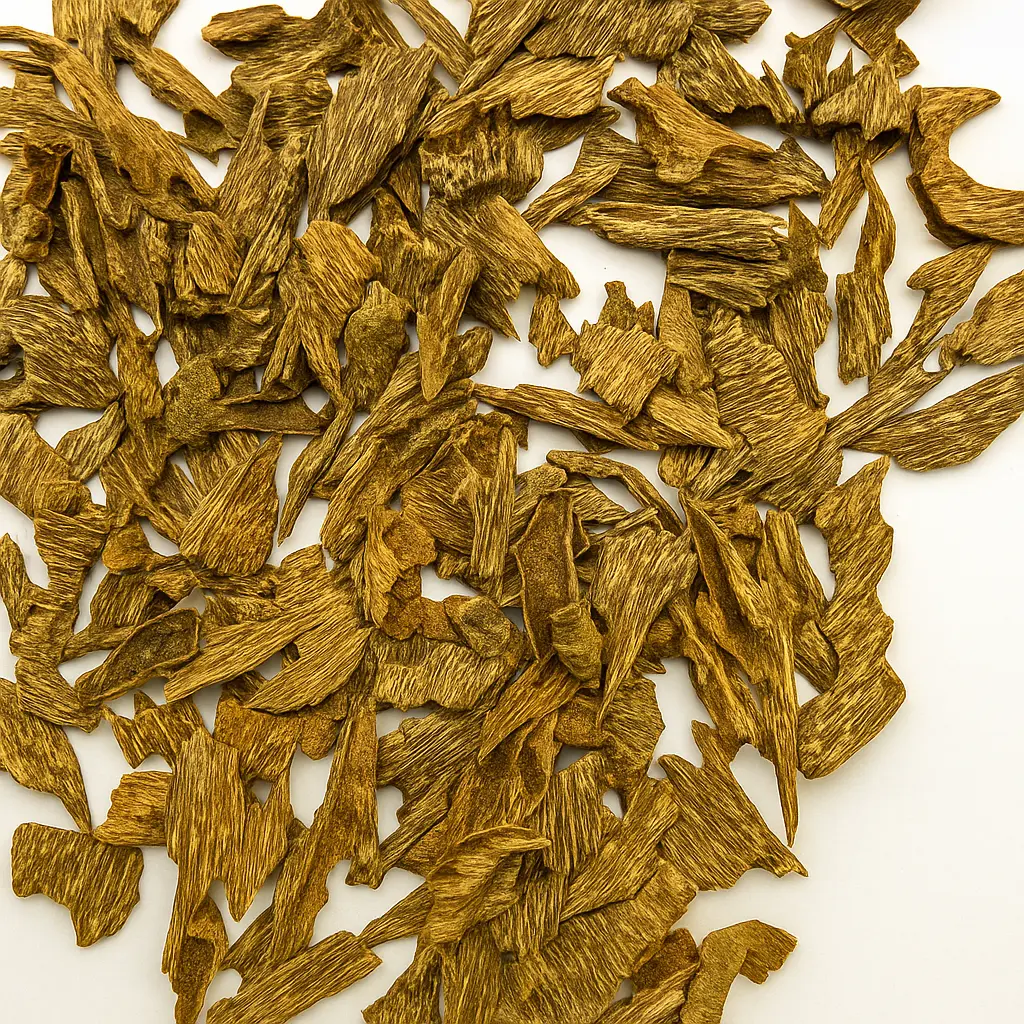 ChatGPT Image Jul 10, 2025, 02_44_39 AM.webp