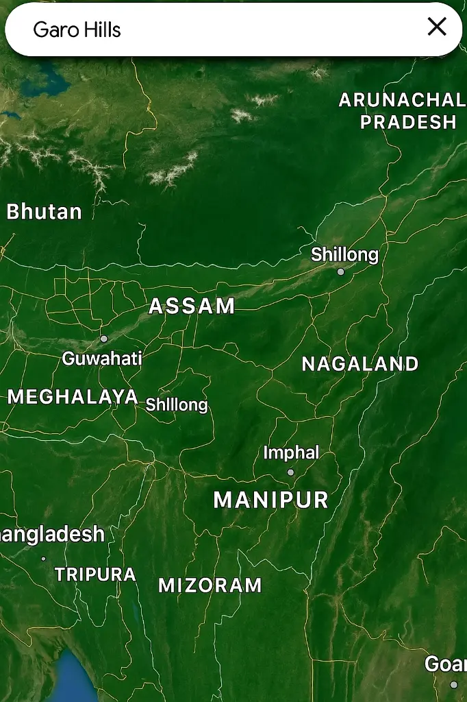 ChatGPT Image Jul 28, 2025, 01_09_04 AM.webp