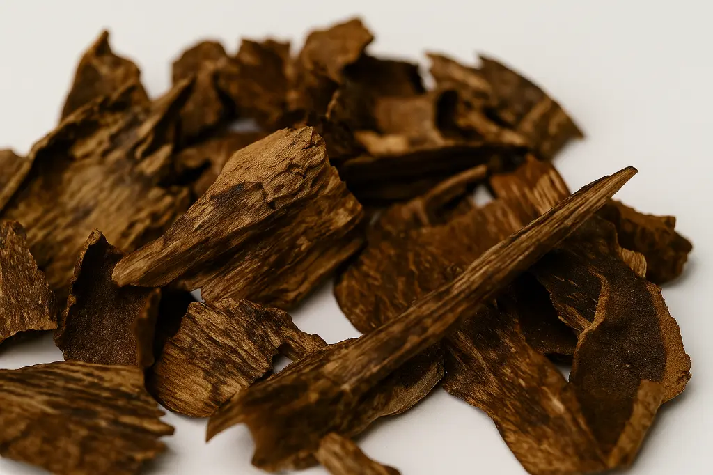 ChatGPT Image Aug 4, 2025, 01_11_41 AM.webp