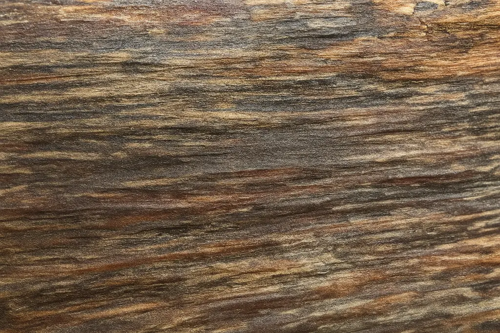 ChatGPT Image Jul 9, 2025, 11_55_44 PM.webp