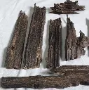 nagaland oudh