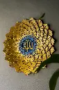 ChatGPT Image Aug 17, 2025, 04_55_01 AM.webp