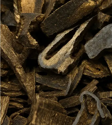 Screenshot 2025-08-22 014016.webp