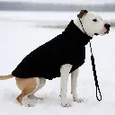 Luxurious Black Karakul Fur Coat for Dogs | Premium Warm Winter Clothes for Pets | Elegant Designer Dog Jacket