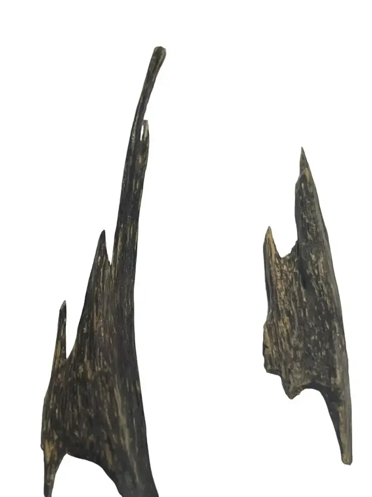 Agarwood Sticks | Indian Chips | Assam - Hindi Oud