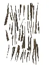 Hindi Zura - Long-Slim Agarwood Sticks |  Oudh | Sallah 