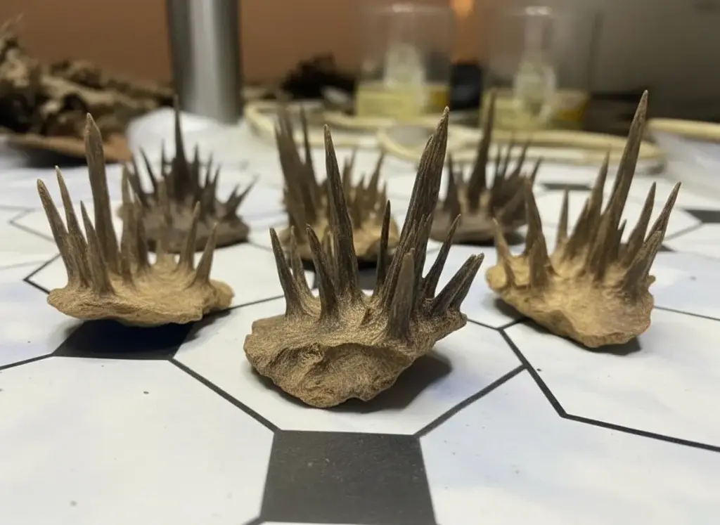 M i Y A ™ – Hindi Gaff Char Oud Triple Super | Rare Nagaland Agarwood | Aquilaria Agallocha | Triple Super Grade !