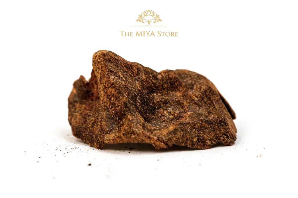 M i Y A ™ – Indian Underwater Oudh | 30-Year+ Sinking Grade Agarwood | Bangladeshi/Hindi Oud WILD Natural Grade - 100% Pure [ INDIA-BANGLA BORDER ] (1 Gram)