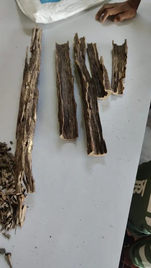 M i Y A ™ – Hindi Oud Kalakassi | Kalagasi | Kalakasi Double Super | 100% Assam Premium | Black Agarwood Chips | Authentic Resin-Rich Oudh (12 Grams)