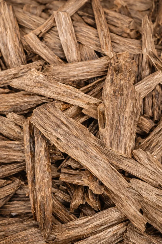🌟 M i Y A™ – Hindi Agarwood Chips | 100% Natural Oud Wood from Tripura, India | Wild Resinated Hindi Oud | High Resin Earthy Leathery Profile 🌟