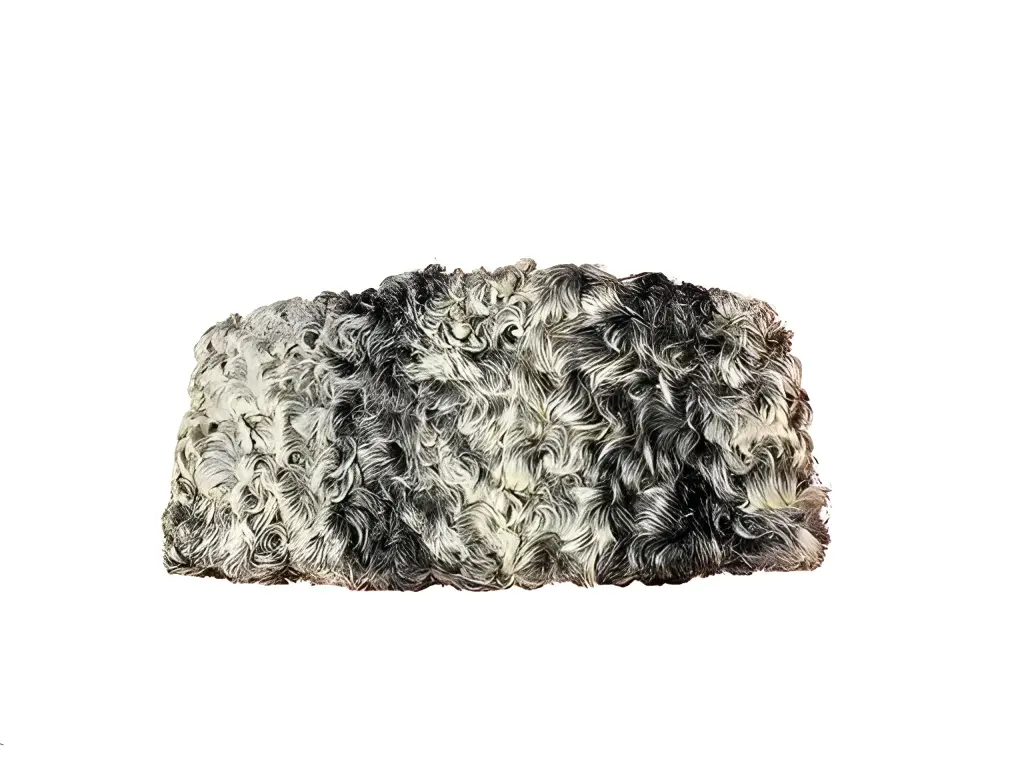 White Karakul Cap – Premium Handmade Jinnah Hat  (Xtraa Small (5))