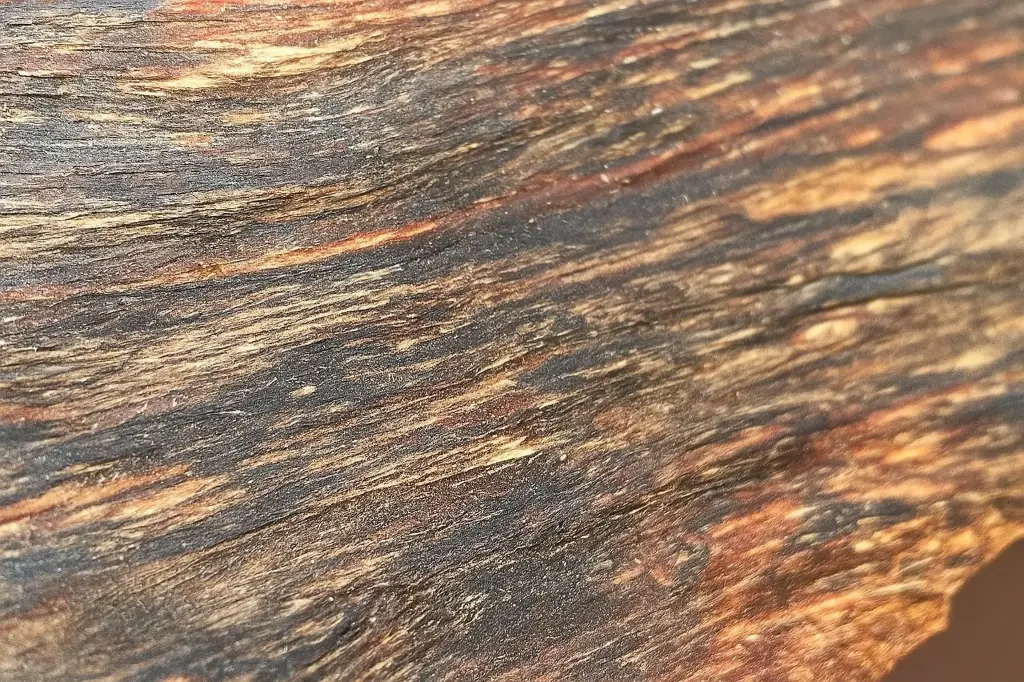 Assam Agarwood Wood Chips | Handcrafted Hindi Oudh Sticks for Spiritual & Aromatherapy - Namti Sivasagar Kalakassi 2023 