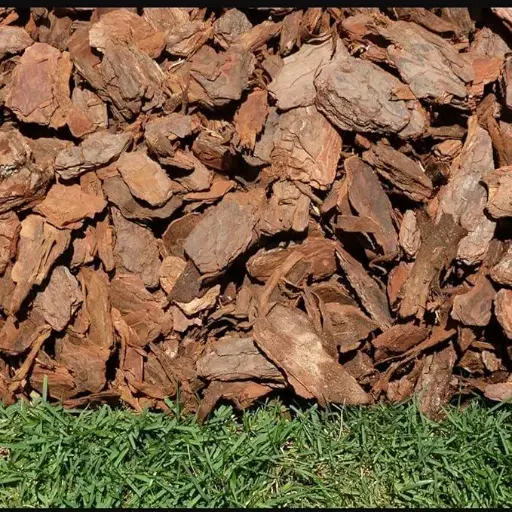 Indian | Pine Bark Chips : Garden Mulch - Potting Soil Mixture