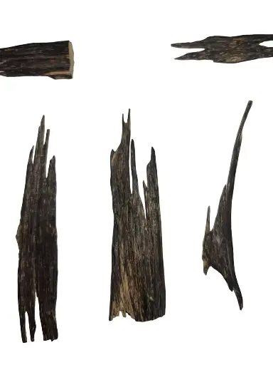 Manipur Hindi Agarwood Sticks – Wild & Exquisite Natural Oud from Manipur