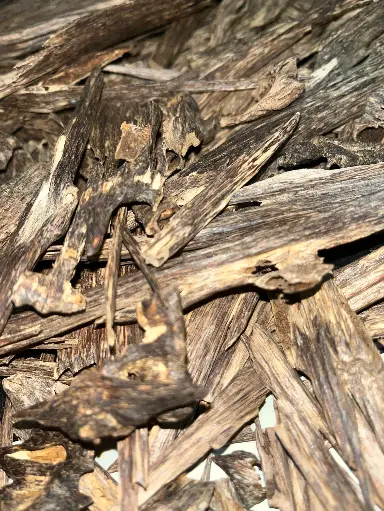 Panisagar Tripura Premium Wild Agarwood Heartwood Chips – Ultra-Rare Triple+ Grade, 75+ Year-Old Single Tree Harvest